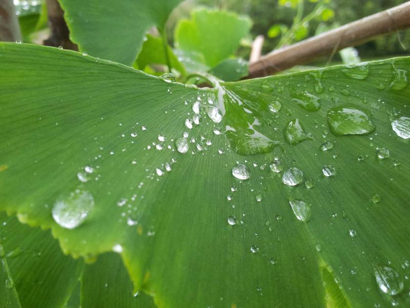 戴森球计划<br>qyf5seag.cn 恒星能量捕获